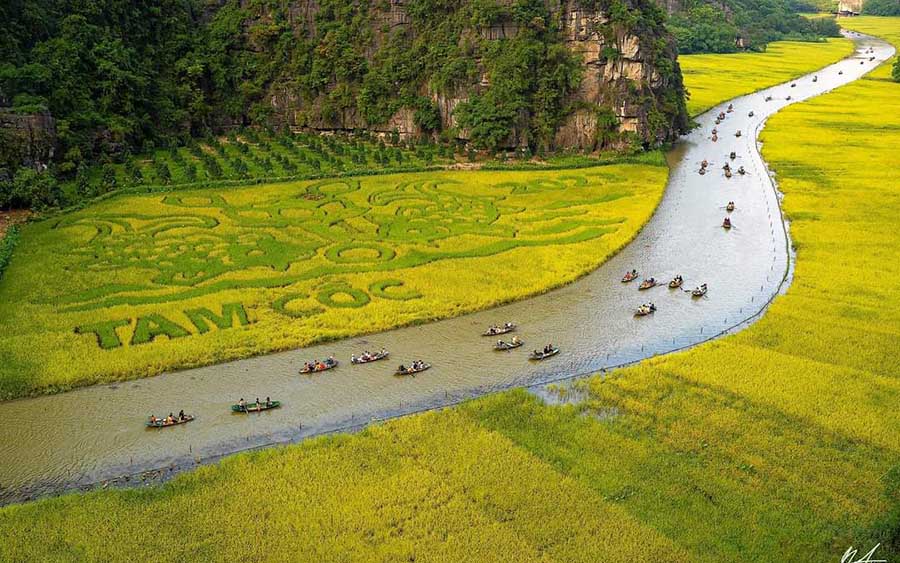 vietnam itinerary 3 weeks - ninh binh rice field